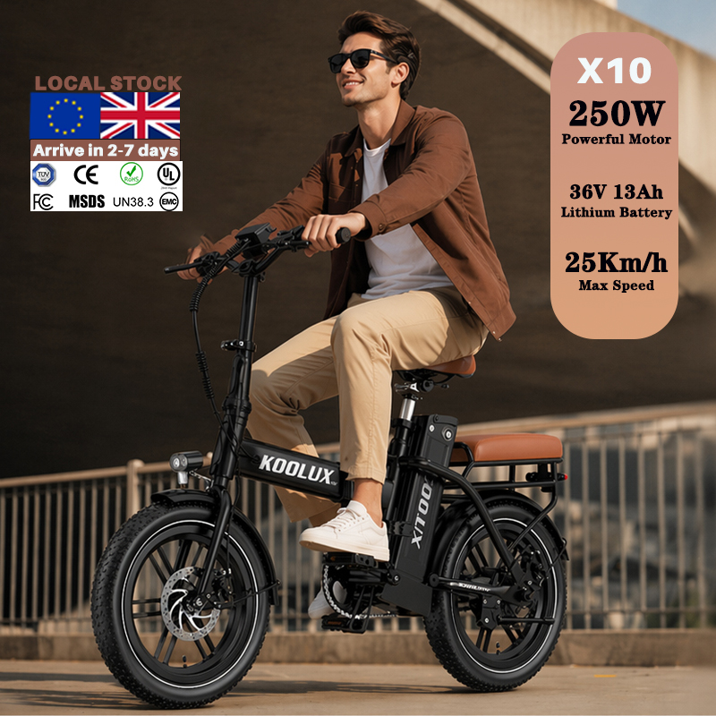 Bicicleta Eléctrica Plegable X - Mountain Biking Europe reseña y precio